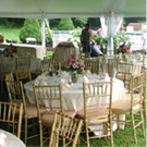 Weddings & Grand Events